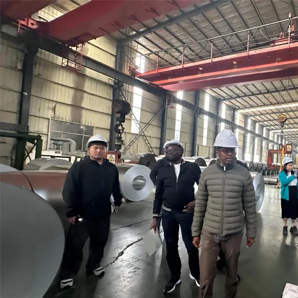 ASTM A249 A269 A213 A312 304 304L 316 316L 321 310 317 317 317L 347H 무선접속 스테인레스 스틸 파이프 10